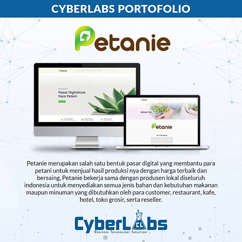 Portfolio Website CyberLabs - Petanie